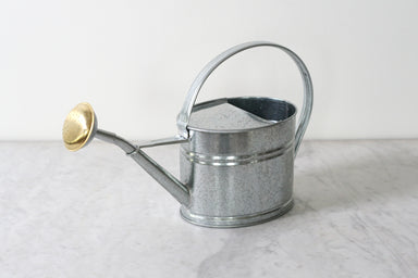 French Galvanized Watering Can